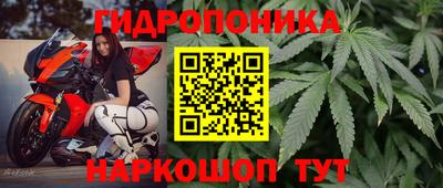 ECSTASY Кинель