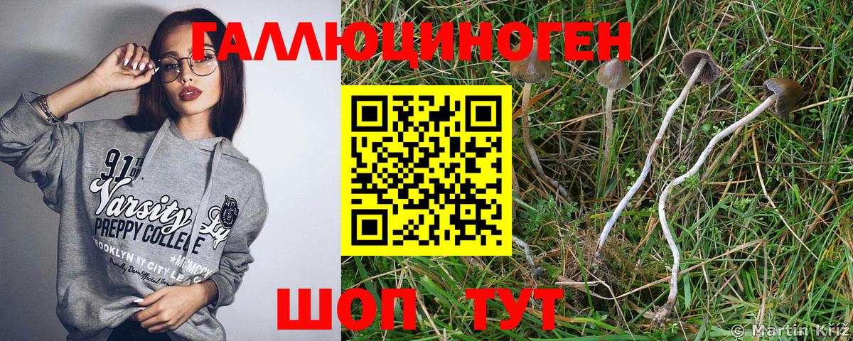 Долгопрудный  Псилоцибиновые грибы мухоморы  Вход с VPN 
